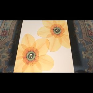 2 Flower Art Prints Delicate I & II By Val Andre